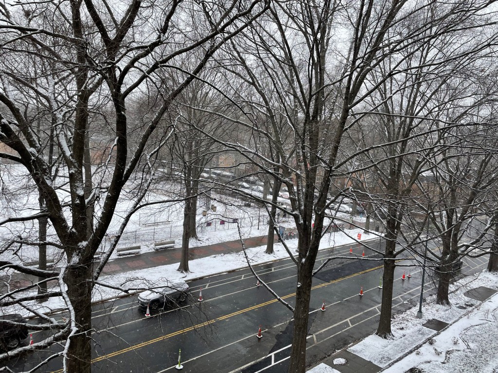 A picture of a city street after a snowfall.