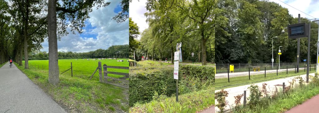 Three pictures: Man riding bike on trail through the countryside, with cows to his right. Sign showing bike trail routes in countryside. Tram station with tram tracks over grass.