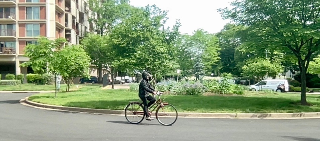 Person riding a bike around a traffic circle in spring.