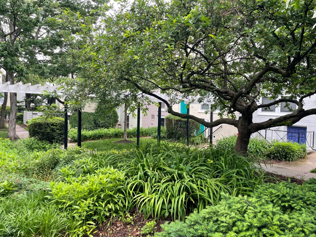 Lush compact neighborhood with colorful front doors, sidewalks, and small yards with shrubs and trees.