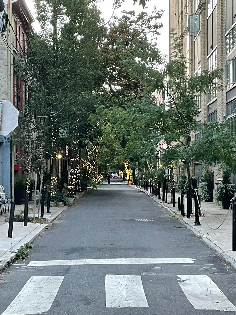 A tree-lined street in Philadelphia, complete with twinkle lights and no cars.